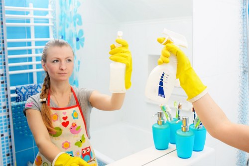 Pimlico carpet cleaning treatment for stains and embedded dirt