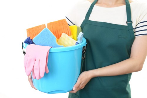 Cleaner performing a detailed one-off clean in a Pimlico home