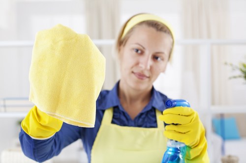 Final terms and governing law for carpet cleaning services
