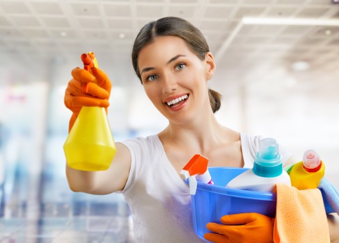 Local pet stain and odour removal service for Pimlico homes and businesses