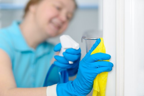 Cleaner maintaining a kitchen in a Pimlico flat during a routine visit