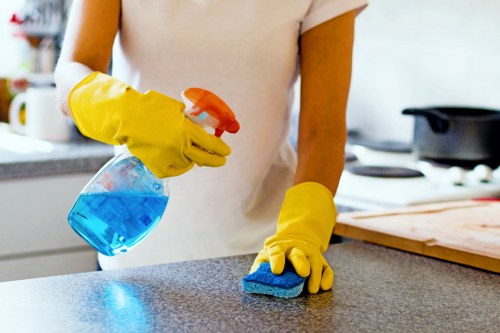 Upholstery deep cleaning for a living room sofa in Pimlico