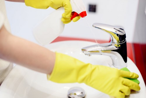 Cleaning pet stains from upholstery in a local London property