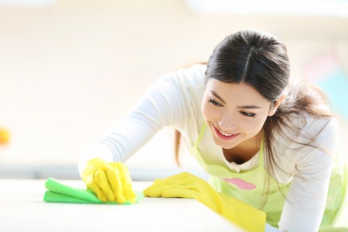 Upholstery cleaning equipment prepared for a Pimlico property