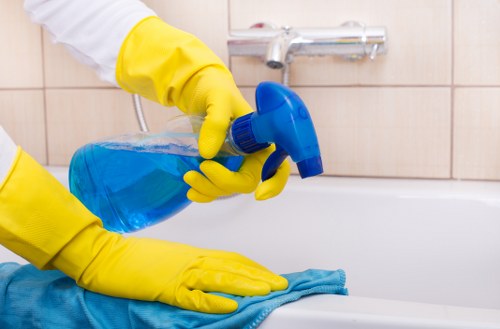Bathroom move-out cleaning in a Pimlico apartment