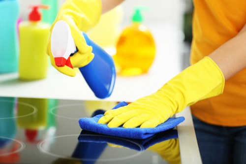 Fabric sofa cleaning and stain treatment for Pimlico properties