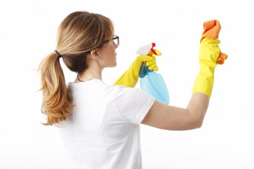 Deep cleaning service for a Pimlico apartment
