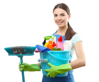 SSL encrypted Pimlico Carpet Cleaners payment process for customer security
