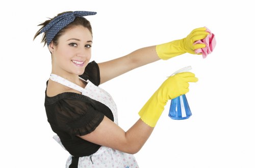 Local oven cleaning for a Pimlico residential or commercial kitchen