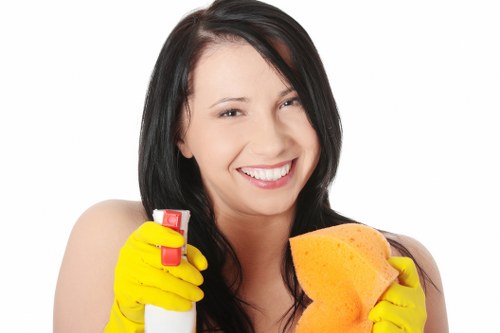 Kitchen deep cleaning in a Pimlico flat