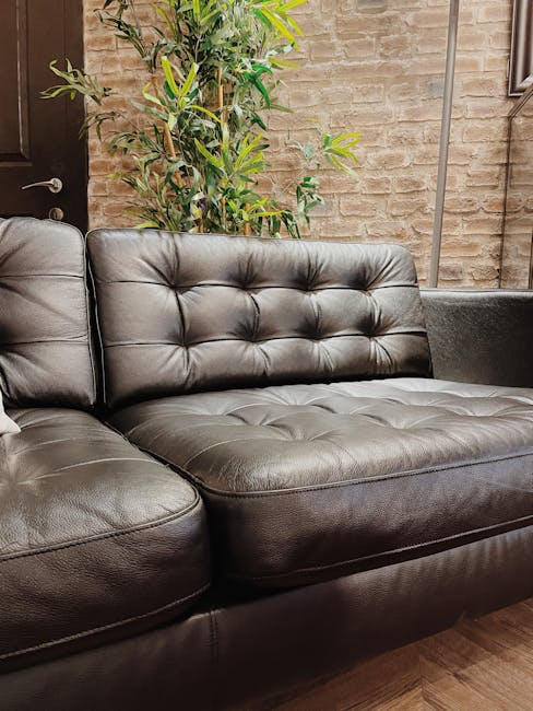 A black leather sofa with tufted cushions and armrests sits against a brick wall in a room with warm lighting. Behind the sofa, there is a tall green potted plant with long, slender leaves, adding a touch of natural greenery. The surface of the sofa appears clean and well-maintained, indicative of professional deep cleaning and surface sanitisation by Pimlico Carpet Cleaners. The room features a wooden floor that complements the rustic brick wall, creating a cozy atmosphere. Visible tools or cleaning products are not present in the image, but the overall appearance suggests thorough hygiene and surface cleaning. This setting exemplifies domestic cleaning excellence aimed at maintaining a hygienic and inviting living space, aligning with the service focus on deep cleaning and stain removal for sofas, as highlighted in the 'After-party Sofa Deep Stain Rescue on Bessborough Gardens, Pimlico' service page at pimlicocarpetcleaners.com.